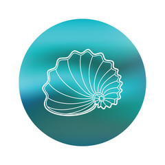 Icon sea shell on blue background. Circle emblem with shell isolated on white background