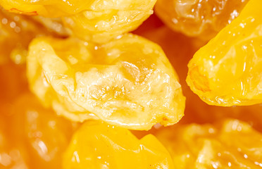 Fototapeta na wymiar Yellow raisins as background