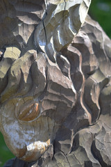A fragment of an old wooden statue of a goat, damaged by time and nature - a muzzle and eyes close up. Folk art, handmade, paganism, ceremonies, sign.