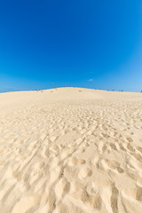 Fototapeta na wymiar The Dune of Pilat, the tallest sand dune in Europe. La Teste-de-Buch, Arcachon Bay, Aquitaine, France