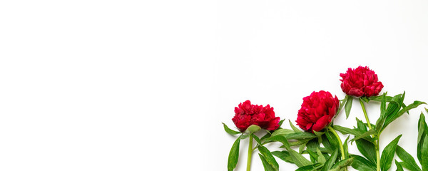 Beautiful peony flowers on white table with copy space for your text top view and flat lay style