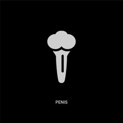 white penis vector icon on black background. modern flat penis from medical concept vector sign symbol can be use for web, mobile and logo.