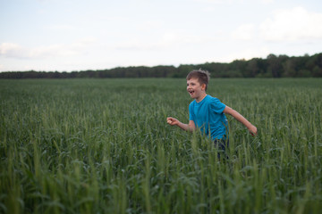 Happy boy running in green wheat, enjoying the life in the field. Nature beauty, blue sky and field of wheat. Freedom concept © olsima