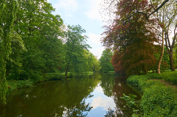 Fototapeta na wymiar Greenery landscape and tree reflection in river 
