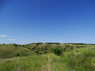 steppe landscape