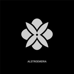 white alstroemeria vector icon on black background. modern flat alstroemeria from nature concept vector sign symbol can be use for web, mobile and logo.