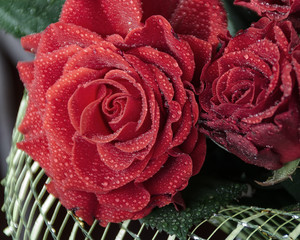 Red Roses