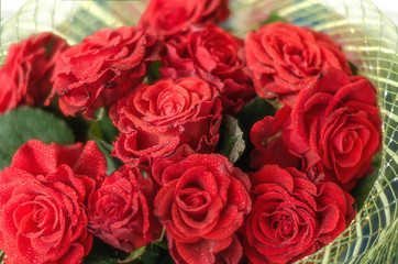 Red Roses