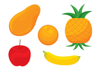 Vector set of fruit icon papaya, apple, orange, pineapple, banana isolated on white background.