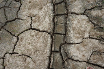 cracked earth texture2