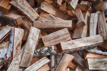 big pile of birch wood top view