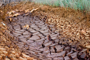 Dry cracked earth