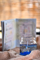 Beach themed candle and open passport with stamps