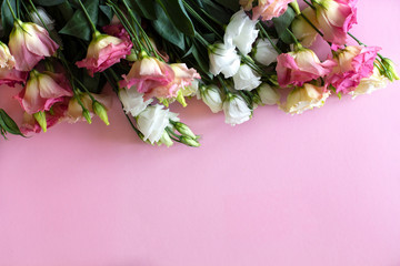 Close-up of very beautiful pink and white flowers on the soft pink background. Bouquet of fresh perfect eustoma. Springtime and summer concept. Space for text. 