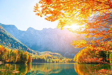 Herbstbäume am Ufer des Hinteren Langbathsees in den Alpenbergen, Österreich. Schöne Herbstlandschaft