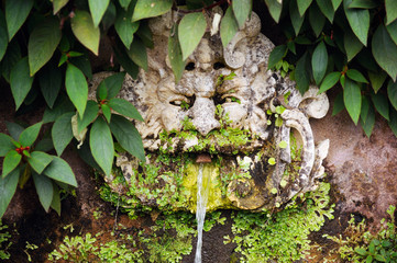 Old roman fontain.A fountain in the shape of a human head..