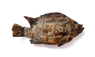 Salt-Crusted Grilled Fish Isolate on white background ,Thai food. 