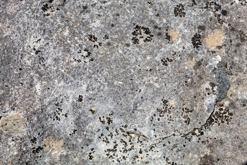 Grayish Weathered Natural Stone Texture