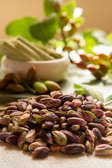 Sweet, delicate and fragrant nuts, Bronte pistachios with  brilliant green colour, ingredient for Italian cuisine, ice creams, cakes, pesto