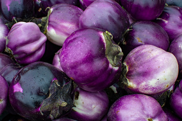 New harvest of tasty Sicilian round Viola eggplants vegetables on market