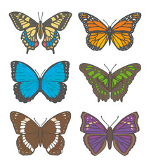 Obraz na płótnie Canvas Vector illustration drawings of different butterflies, including 'White Admiral', 'Old World Swallowtail', 'Monarch Butterfly', 'Peleides Blue Morpho', 'Malachite Butterfly' and 'Agathina Emperor'