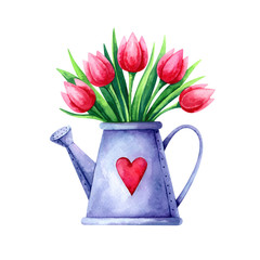 Hand painted watercolor illustration of bouquet of red tulips in a watering can isolated on white background © olha_oleskova