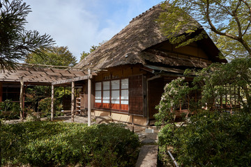 Fototapeta na wymiar A traditional japanese wooden house, covered with straw. Trees and bushes belong to the park around the house.