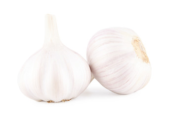 two whole heads garlic closeup isolated on white, natural product, spice for cooking