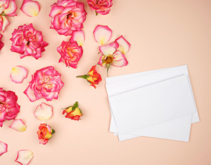 yellow rose buds and a white paper envelope on a peach background