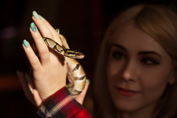 A beautiful blond woman is holding a small royal python in her hands. Contact zoo.