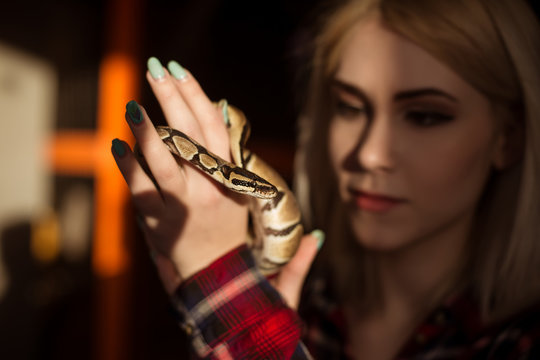 A beautiful blond woman is holding a small royal python in her hands. Contact zoo.