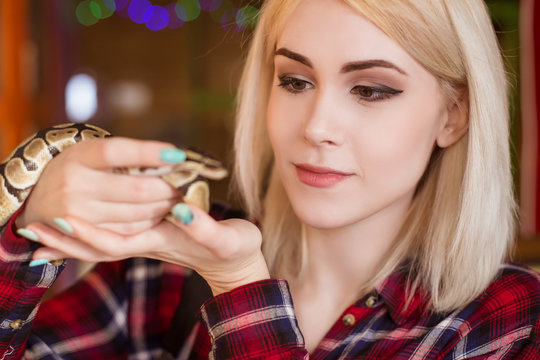 A beautiful blond woman is holding a small royal python in her hands. Contact zoo.