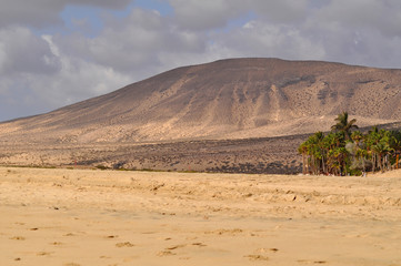 Beautiful sandy beach Soltavento with the mountain on background. Costa Calma, Fuerteventura, Canary Islands, Spain