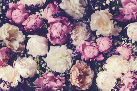 Fototapeta Vintage bouquet of pink and white peonies. Floristic decoration. Floral background. Baroque old fashiones style image. Natural flowers pattern wallpaper or greeting card