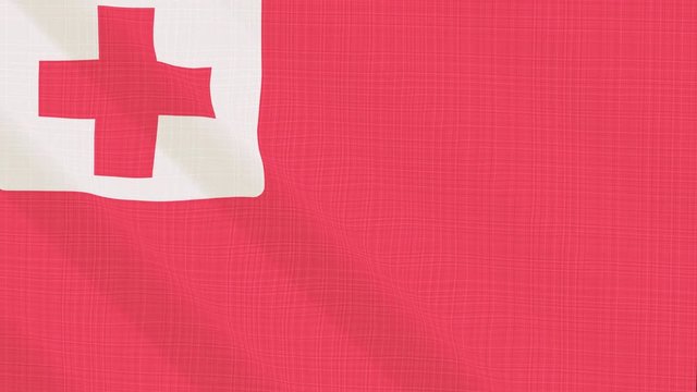 Tonga flag waving in the wind. Background with rough textile texture. Animation loop