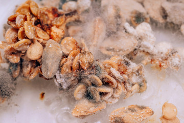 Damaged plant seeds. Dangerous mold spores on seeds. Improper storage of plant seeds. Corroded...