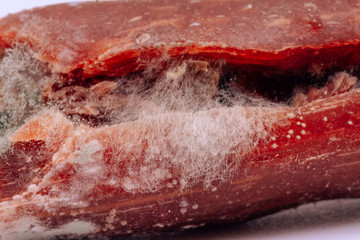 Spoiled churchkhela on a white background. Mold spores on churchkhele. Improper storage of food....