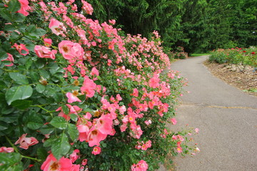 Park of Roses, Columbus, Ohio