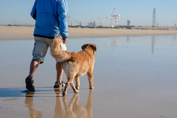 Man walking with his dog on beach