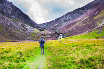 Fototapeta na wymiar Scottish Highlands. Tourist walking to Falls of Unich. Glen Lee, Angus, Scotland, UK.