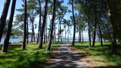 La Toja, island in O Grove. Galicia,Spain