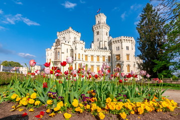 Fototapeta premium Hluboka nad Vltavou Castle and spring flowers, Czech Republic