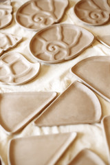 cookies with chocolate