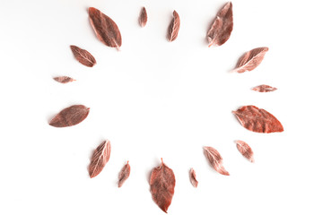 Flat lay of frame with green branches, leaves and petals isolated on white background. Top view