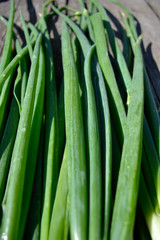 close up of green vegetable