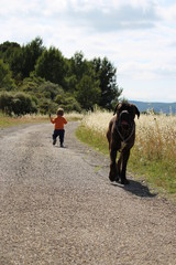 Obraz premium chien cane corso et un bébé d'un an
