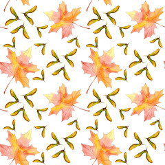 Hand drawn seamless pattern watercolor colorful maple fall leaf and winged seeds maple tree isolated on white background.Design for wallpaper, textile,paper, invitation,greeting cards,scrapbooking