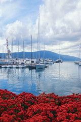 Beautiful autumn Mediterranean landscape. View of yacht marina of Porto Montenegro.  Montenegro,...