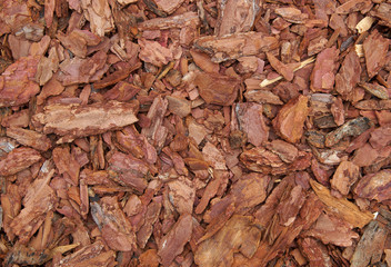 shredded bark of trees