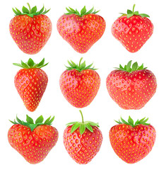 Isolated strawberries. Collection of strawberry fruits of various shapes isolated on white background with clipping path